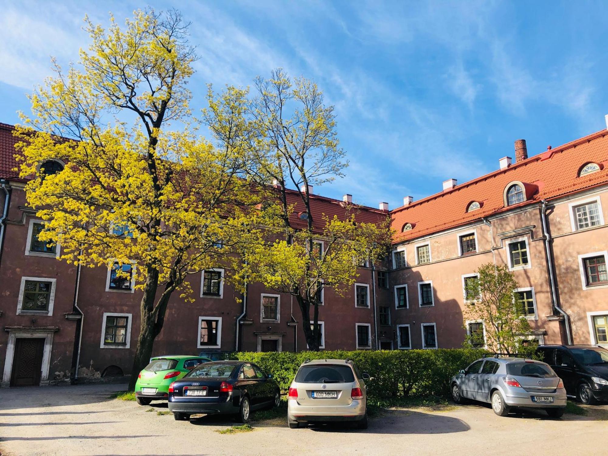Historic Charm - Cozy Nordic Retreat In Time-Honored Residency Apartment Tallinn Ngoại thất bức ảnh